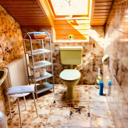 Appartement Haus Brengartner à Münstertal Extérieur photo