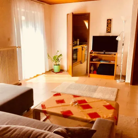 Appartement Haus Brengartner à Münstertal Extérieur photo
