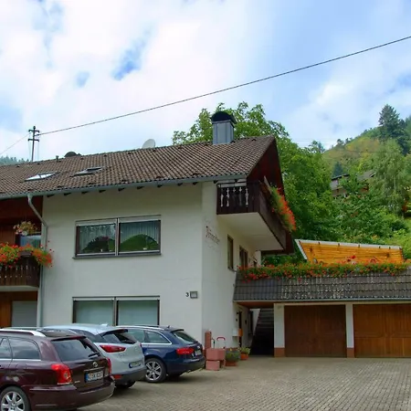 Appartement Haus Brengartner à Münstertal Extérieur photo